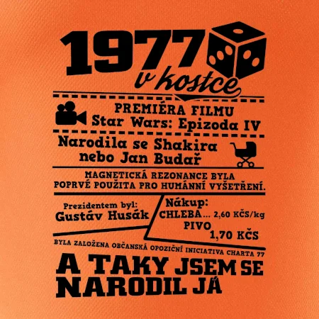 1977 v kostce