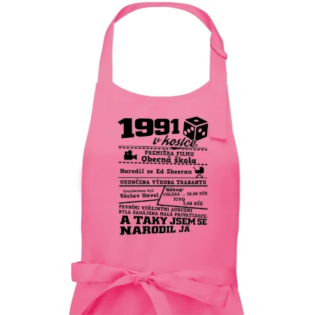 1991 v kostce