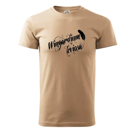 Harry - Wingardium Leviosa