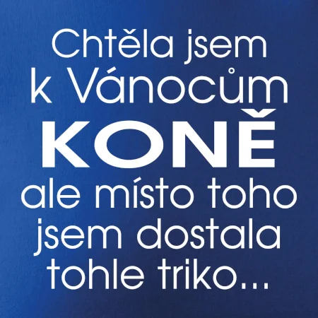 Chtěla jsem k Vánocům koně