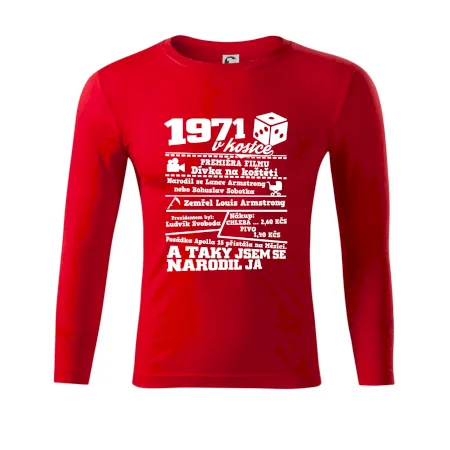 1971 v kostce