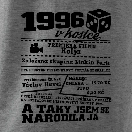 1996 v kostce