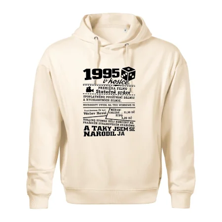 1995 v kostce