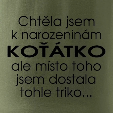 Chtěla jsem dostat k narozeninám koťátko