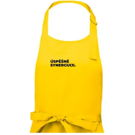 ÚSPĚŠNĚ SYNERGUIJI.