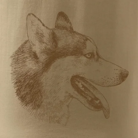 Husky - hlava z boku