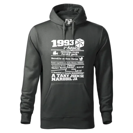 1993 v kostce