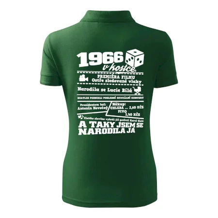 1966 v kostce