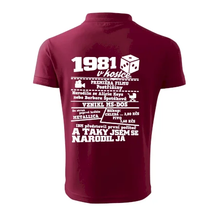 1981 v kostce
