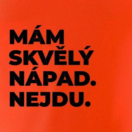 MÁM SKVĚLÝ NÁPAD. NEJDU.