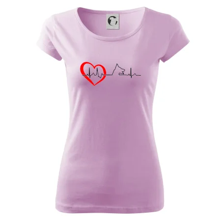 Německý ovčák ekg
