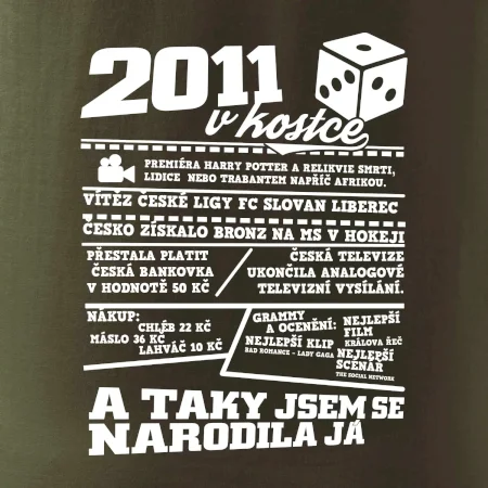 2011 v kostce