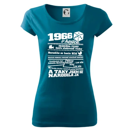 1966 v kostce