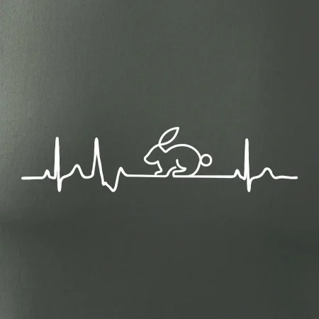 EKG králík