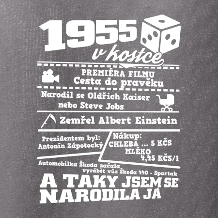 1955 v kostce