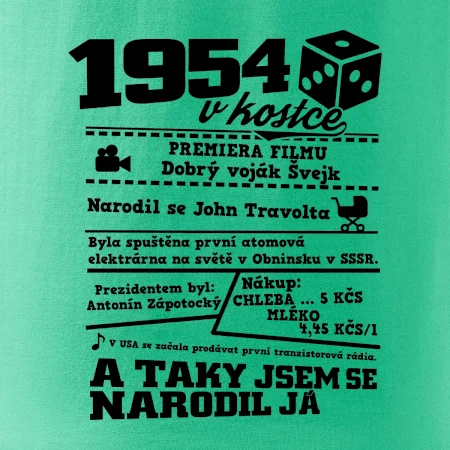 1954 v kostce