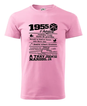 1955 v kostce