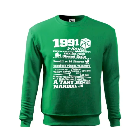 1991 v kostce