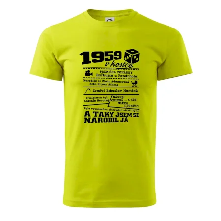 1959 v kostce