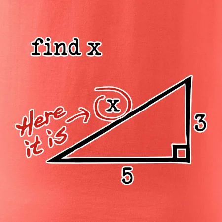 Find X - geometrie
