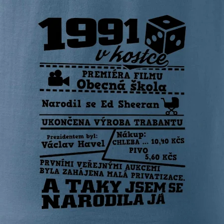 1991 v kostce