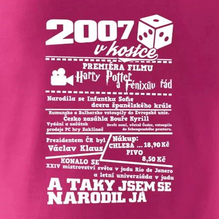 2007 v kostce