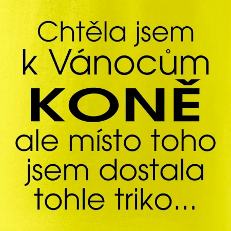 Chtěla jsem k Vánocům koně