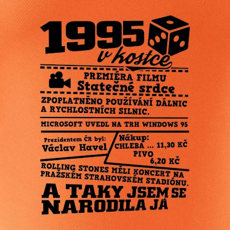 1995 v kostce