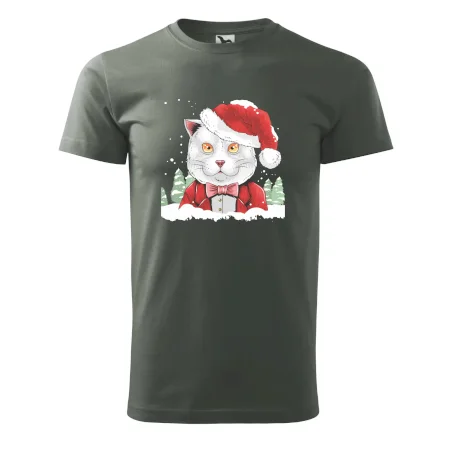 Santa kocour