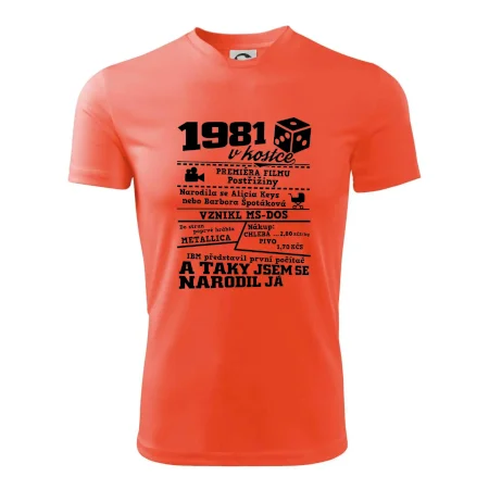 1981 v kostce