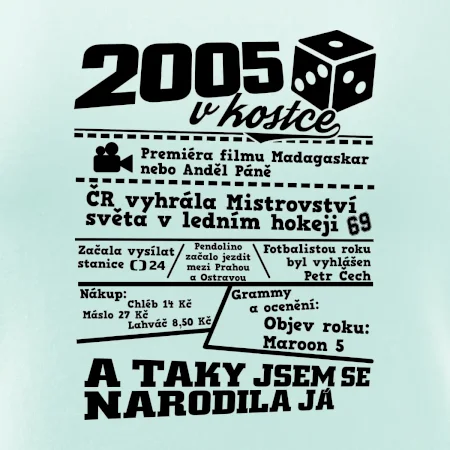 2005 v kostce