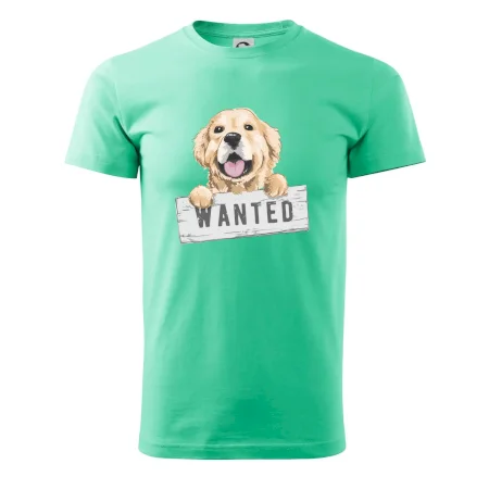Zlatý retriever - štěně wanted
