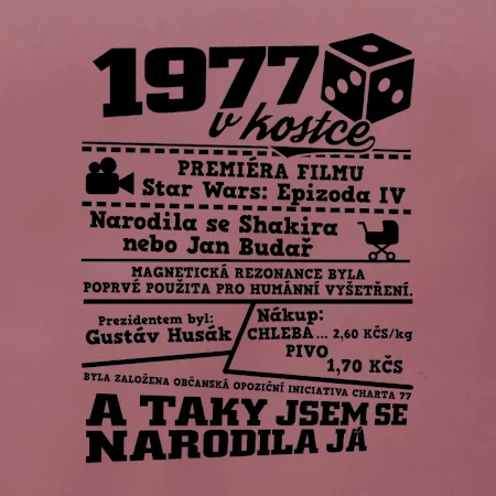 1977 v kostce