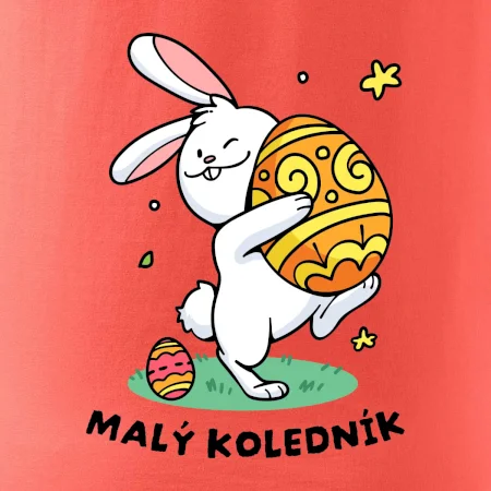 Malý koledník