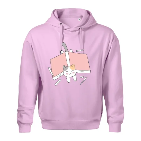 Učení na státnice kočka