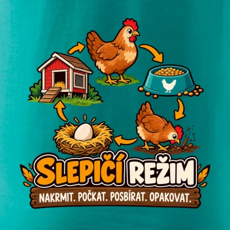 Slepičí režim od krmení po sběr vajec