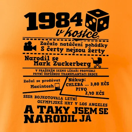 1984 v kostce