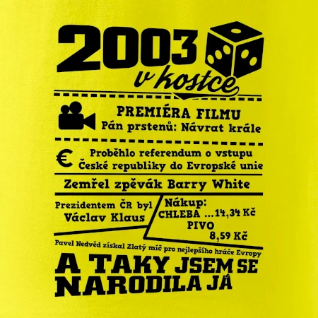 2003 v kostce