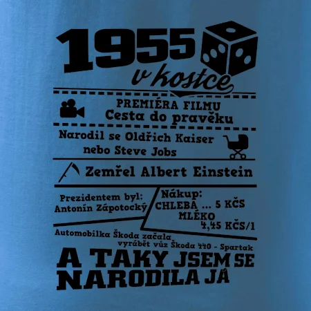 1955 v kostce