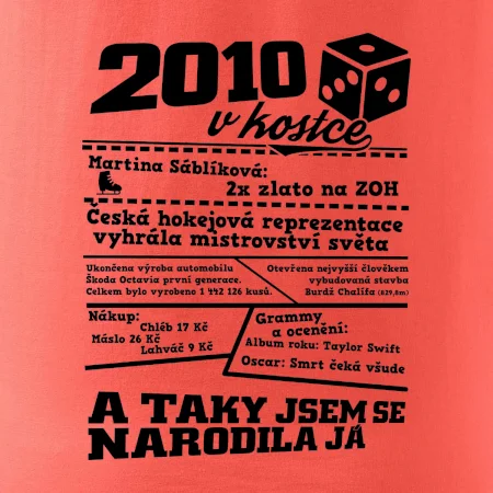 2010 v kostce