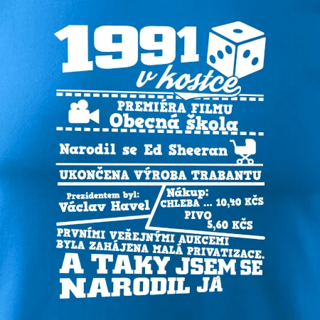 1991 v kostce