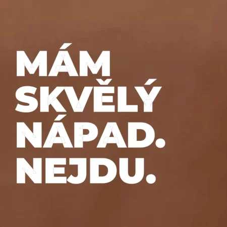 MÁM SKVĚLÝ NÁPAD. NEJDU.