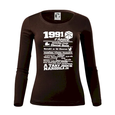 1991 v kostce