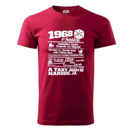1968 v kostce