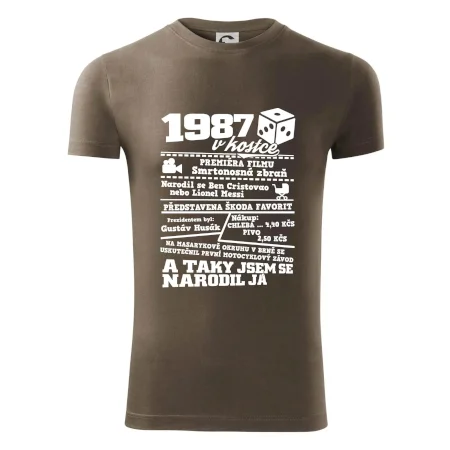 1987 v kostce