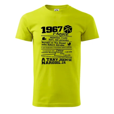 1967 v kostce