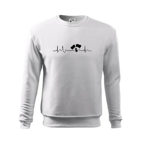Jack Russell Terriér hrubosrstý Ekg