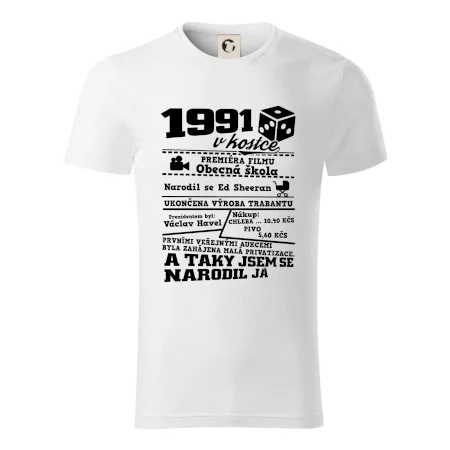 1991 v kostce