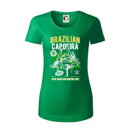 Brazilian Capoeira