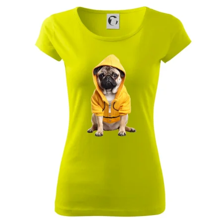 Mops v mikině